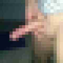 patte83