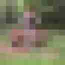 franzie01