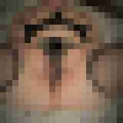 Toddel