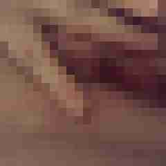 Losti