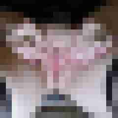 seemann0706