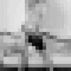 Phorus