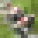 herz_paar
