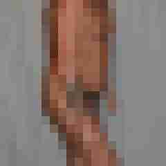 stierodin53