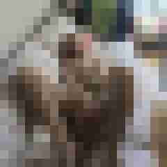 gerrycn
