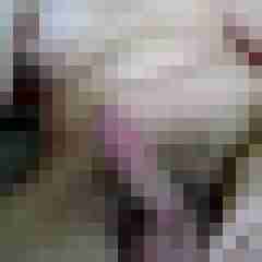 Geilerboy4654