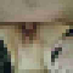 missandmR