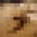 funratte
