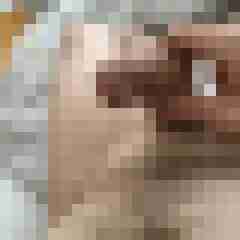 Hugo123
