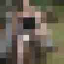bipaar2011