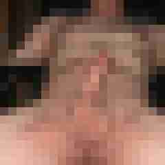 harryslip