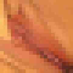 creampiepussy69