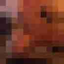 like2show22