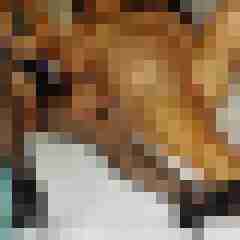 Haumphrey