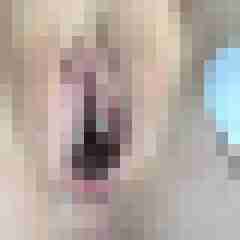 Lara_h