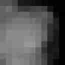 filetbohne