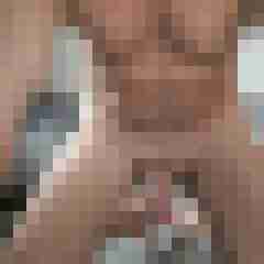 st_bernard_69