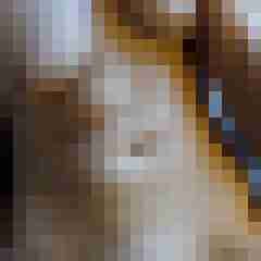 scarett