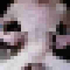 rolfblond