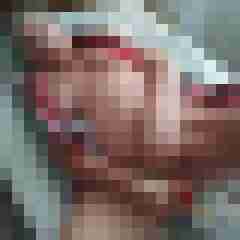 gerrycn