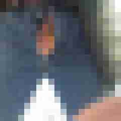 st_bernard_69