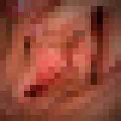 LaNelly