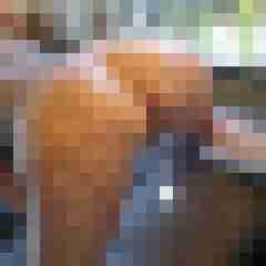 scarett