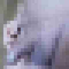 schnucki51R3UG5