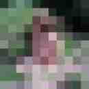rolf_gruen