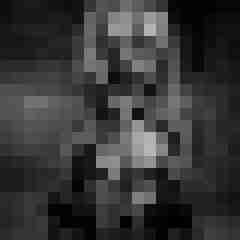 Phorus