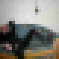 Bare__Glatze