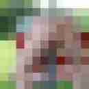 net_michi04