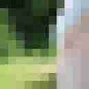 net_michi04