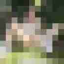 MatMax