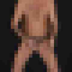 stierodin53