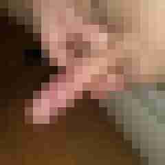 patte83