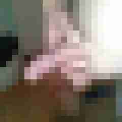patte83