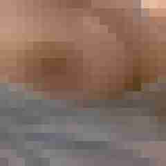 Pummelfee_36