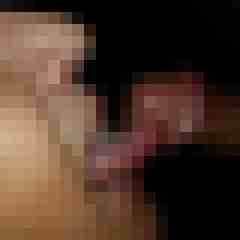 migel1