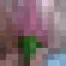 wild_und_frech