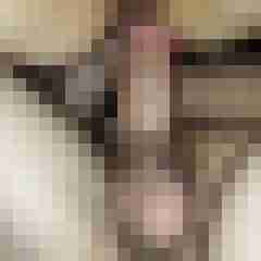 pichunters