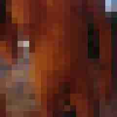 Petrus1111