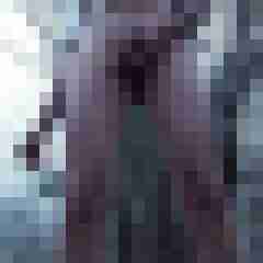 mikefmuc