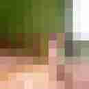 wellnell