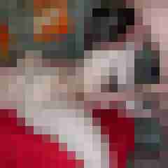 Carlchen