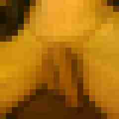 asccnb