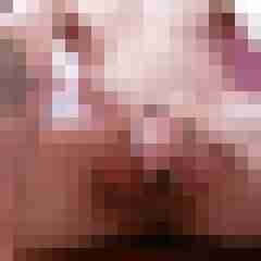 rolfblond