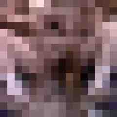 Nylongeiles_Paar