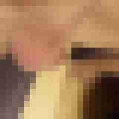 st_bernard_69