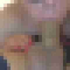 Dick_Lover
